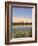 Umm El Ma Lake, Erg Awbari, Sahara Desert, Fezzan, Libya, North Africa, Africa-Pitamitz Sergio-Framed Photographic Print