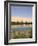 Umm El Ma Lake, Erg Awbari, Sahara Desert, Fezzan, Libya, North Africa, Africa-Pitamitz Sergio-Framed Photographic Print