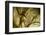 Un altra storia-Fabien BRAVIN-Framed Photographic Print