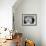 Un Angel Tuvo La Culpa, 1960-null-Framed Photographic Print displayed on a wall