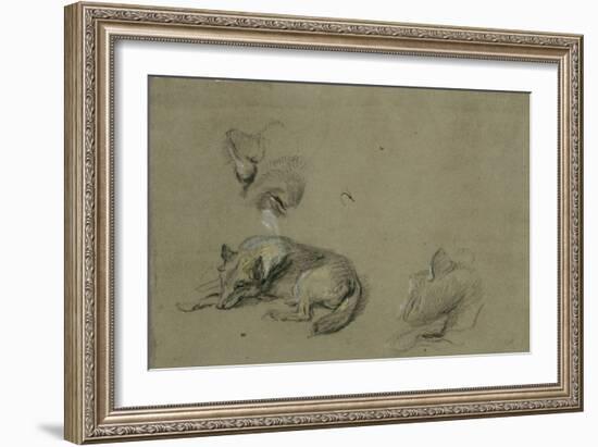 Un loup couché et deux têtes-Pieter Boel-Framed Giclee Print