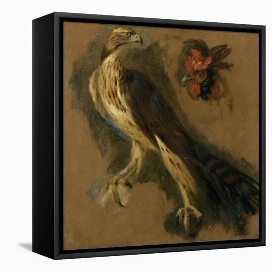 Un tiercelet et une tête de coq. Etude-Pieter Boel-Framed Premier Image Canvas