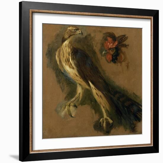 Un tiercelet et une tête de coq. Etude-Pieter Boel-Framed Giclee Print