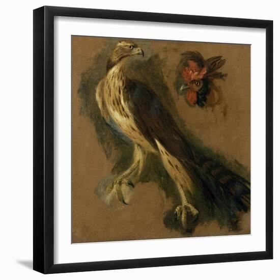 Un tiercelet et une tête de coq. Etude-Pieter Boel-Framed Giclee Print