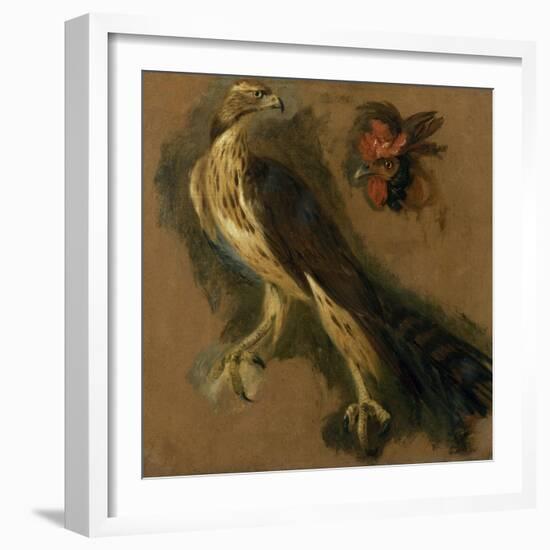 Un tiercelet et une tête de coq. Etude-Pieter Boel-Framed Giclee Print