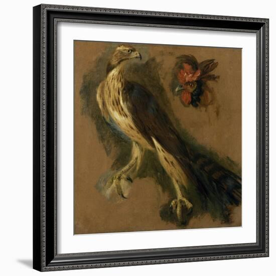 Un tiercelet et une tête de coq. Etude-Pieter Boel-Framed Giclee Print