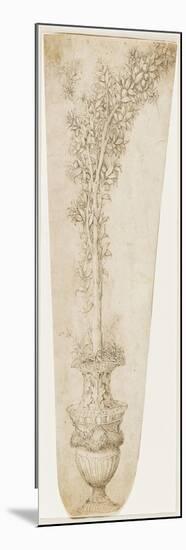Un vase et une branche d'oranger-Andrea Mantegna-Mounted Giclee Print
