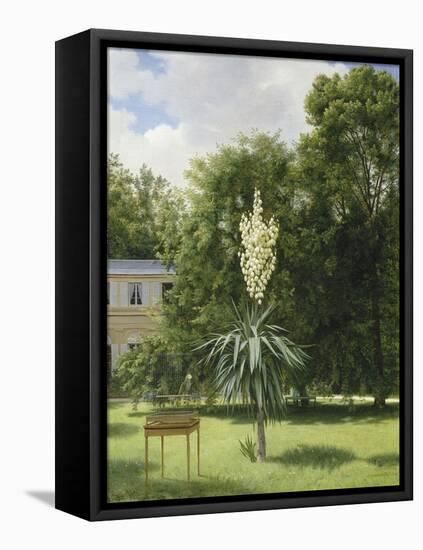 Un Yucca gloriosa dans le parc de Neuilly-Antoine Chazal-Framed Premier Image Canvas