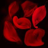 Red Flowers-Unaciertamirada-Laminated Photographic Print