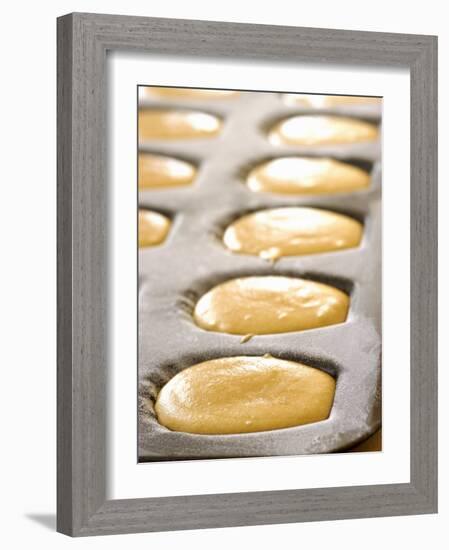 Unbaked Lemon Madeleines in the Baking Tin-Alain Caste-Framed Photographic Print