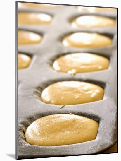 Unbaked Lemon Madeleines in the Baking Tin-Alain Caste-Mounted Photographic Print