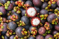 Fresh Organic Mangosteen Thai Fruit in Market Thailand.-unchalee_foto-Photographic Print