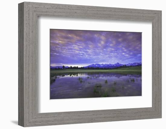 Uncompahgre National Forest at Sunrise, Colorado, USA-Charles Gurche-Framed Photographic Print