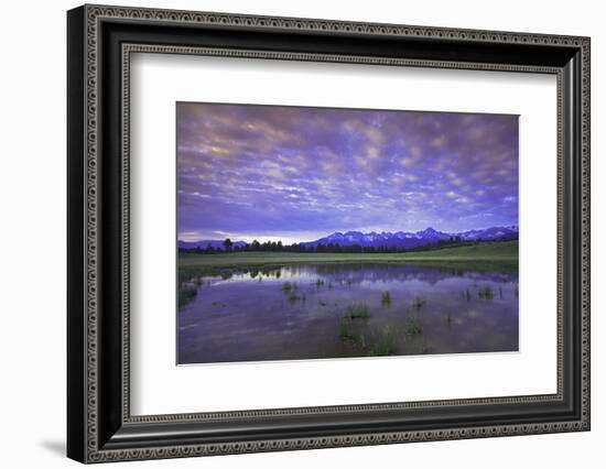 Uncompahgre National Forest at Sunrise, Colorado, USA-Charles Gurche-Framed Photographic Print