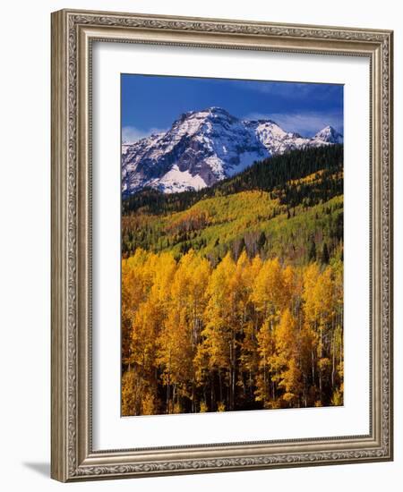 Uncompahgre National Forest CO USA-null-Framed Photographic Print