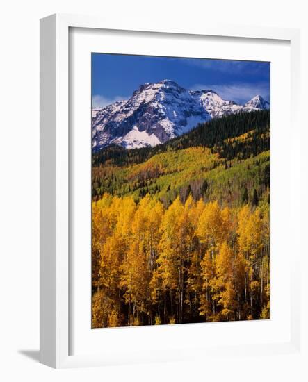Uncompahgre National Forest CO USA-null-Framed Photographic Print
