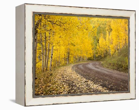 Uncompahgre National Forest, Colorado, USA-Don Grall-Framed Premier Image Canvas
