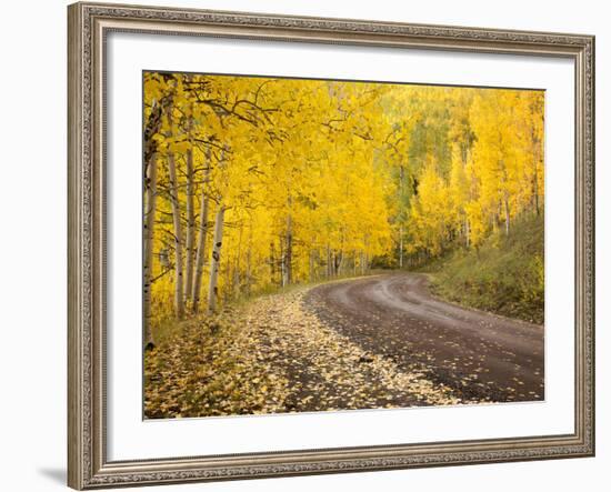 Uncompahgre National Forest, Colorado, USA-Don Grall-Framed Photographic Print