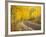 Uncompahgre National Forest, Colorado, USA-Don Grall-Framed Photographic Print