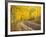 Uncompahgre National Forest, Colorado, USA-Don Grall-Framed Photographic Print