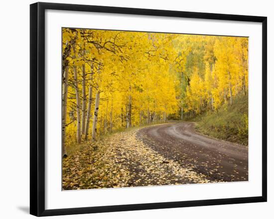 Uncompahgre National Forest, Colorado, USA-Don Grall-Framed Photographic Print