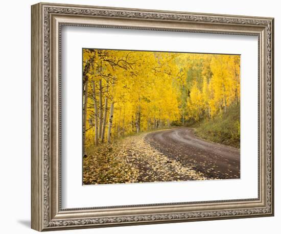 Uncompahgre National Forest, Colorado, USA-Don Grall-Framed Photographic Print