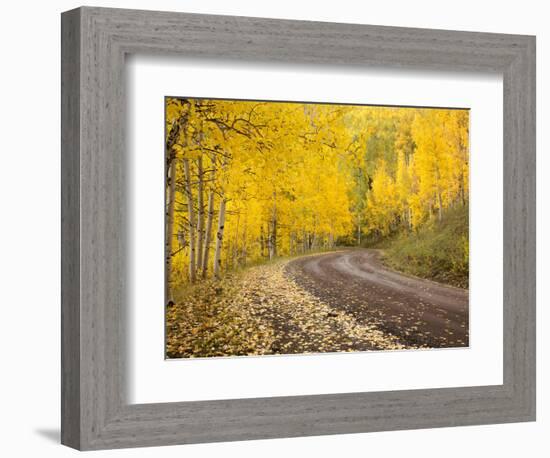 Uncompahgre National Forest, Colorado, USA-Don Grall-Framed Photographic Print