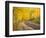 Uncompahgre National Forest, Colorado, USA-Don Grall-Framed Photographic Print