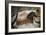 Uncompleted Horse-null-Framed Giclee Print