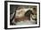 Uncompleted Horse-null-Framed Giclee Print