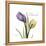 Unconditional Tulip-Albert Koetsier-Framed Stretched Canvas