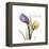 Unconditional Tulip-Albert Koetsier-Framed Stretched Canvas