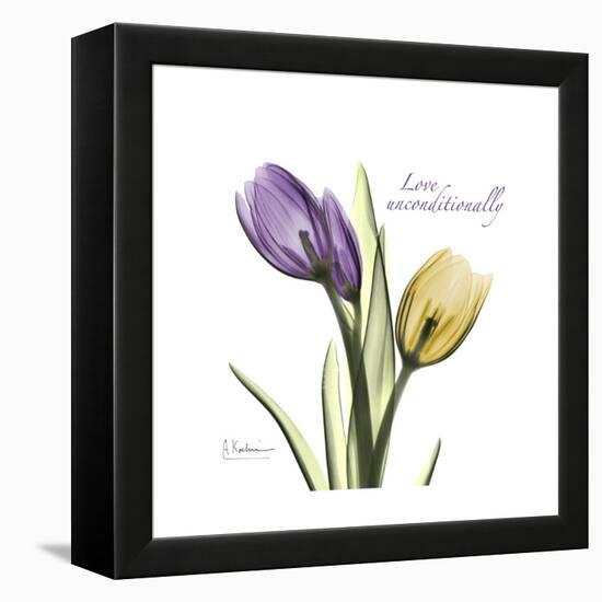 Unconditional Tulip-Albert Koetsier-Framed Stretched Canvas