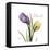 Unconditional Tulip-Albert Koetsier-Framed Stretched Canvas