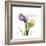 Unconditional Tulip-Albert Koetsier-Framed Premium Giclee Print