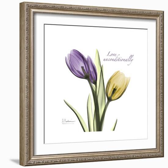 Unconditional Tulip-Albert Koetsier-Framed Premium Giclee Print