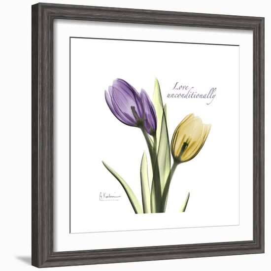 Unconditional Tulip-Albert Koetsier-Framed Premium Giclee Print