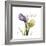 Unconditional Tulip-Albert Koetsier-Framed Premium Giclee Print