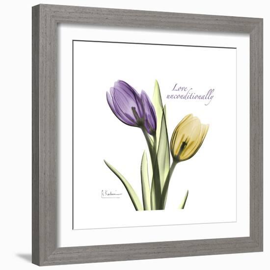 Unconditional Tulip-Albert Koetsier-Framed Premium Giclee Print