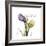 Unconditional Tulip-Albert Koetsier-Framed Premium Giclee Print