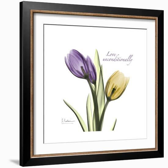 Unconditional Tulip-Albert Koetsier-Framed Premium Giclee Print