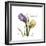 Unconditional Tulip-Albert Koetsier-Framed Premium Giclee Print