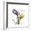 Unconditional Tulip-Albert Koetsier-Framed Premium Giclee Print