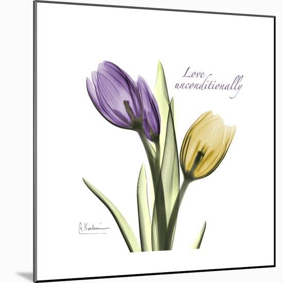 Unconditional Tulip-Albert Koetsier-Mounted Premium Giclee Print