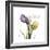 Unconditional Tulip-Albert Koetsier-Framed Premium Giclee Print