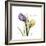 Unconditional Tulip-Albert Koetsier-Framed Premium Giclee Print