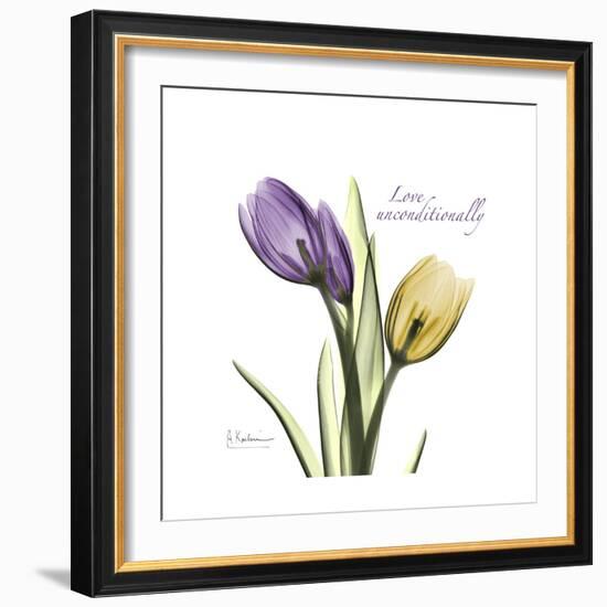 Unconditional Tulip-Albert Koetsier-Framed Premium Giclee Print