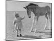 Photographic Print