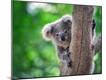 Premium Photographic Print