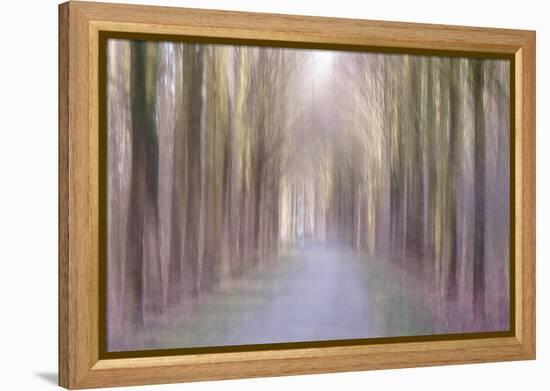 Under an Amethyst Sun-Jacob Berghoef-Framed Premier Image Canvas